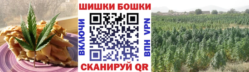 дарнет шоп  Александровское  shop формула  Canna-Cookies конопля 