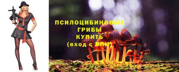 jwh Алзамай