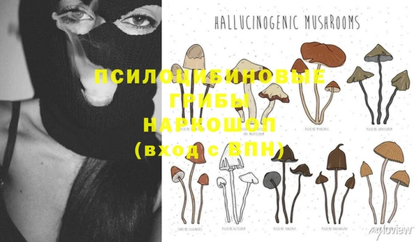 jwh Алзамай