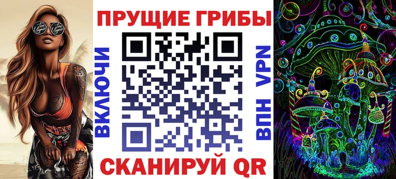 дарк нет клад  блэк спрут ссылки  Александровское  Галлюциногенные грибы Magic Shrooms 