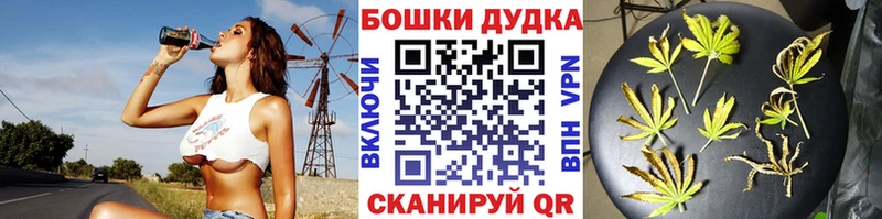 Каннабис индика  где можно купить   Александровское 